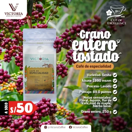 Entero Tostado Victoria Specialty Coffee